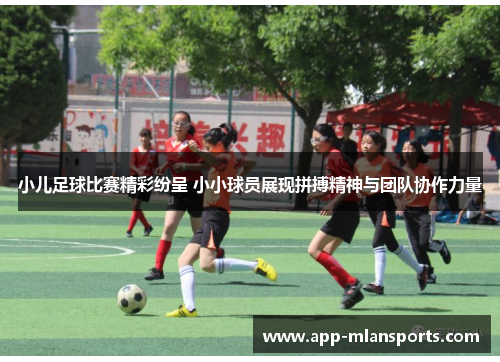 小儿足球比赛精彩纷呈 小小球员展现拼搏精神与团队协作力量